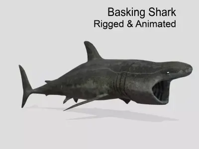 Basking-shark  Low-poly 3D model