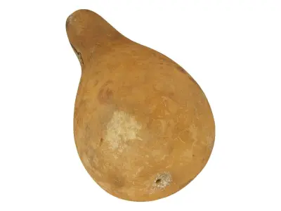 Gourd Birdhouse Raw Scanned 3D model