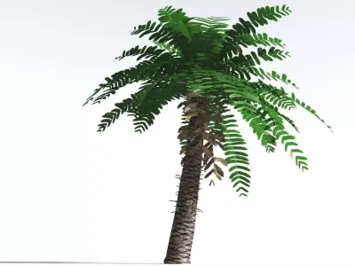 EVERYPlant Pseudoctnis Cycad LowPoly 4 --12 Models-- Low-poly 3D model