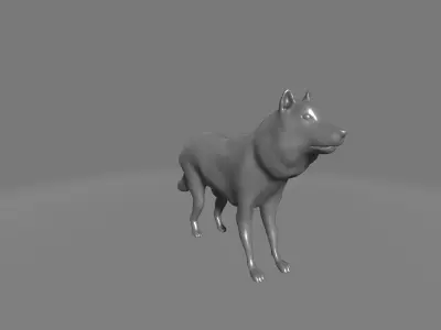 Epicyon Haydeni 3D model