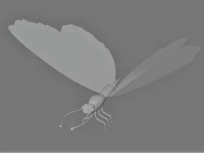 3d Butterfly Model 3D model
