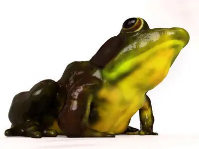 Need a talk 3D model