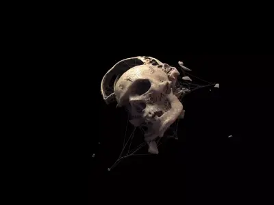 Broken Skull with Spider webs 3 3D model
