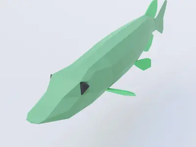 Northern pike fish low poly 3d model  Low-poly 3D model