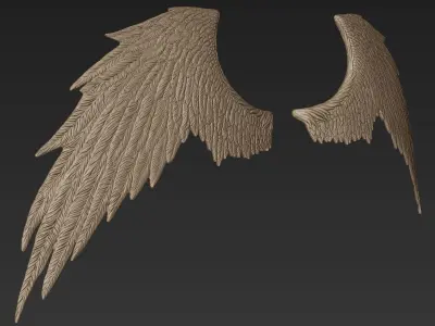 Wings 3 Zbrush Sculpt 3D model