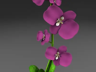 Flower vase 3D model