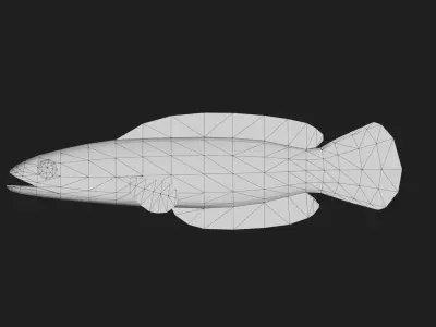 Snakehead Low-poly 3D model