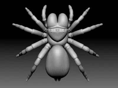 Mouse Spider Low-poly 3D model