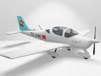 Tecnam P2002 JF model aircraft 3D model