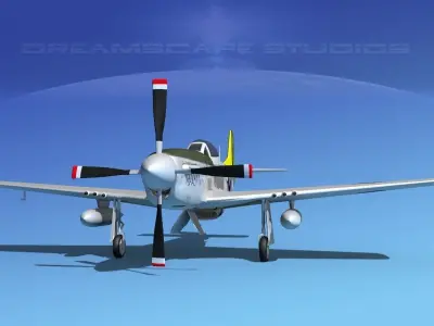 P-51D Mustang Shady Katy 3D model