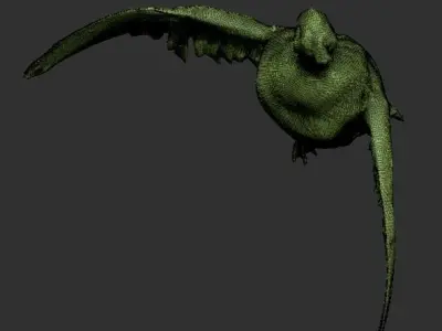 Flying duck 13 Low-poly 3D model