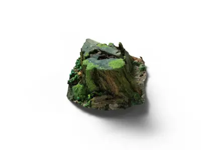 Forest Tree Stump 4K -Part 7- Free low-poly 3D model