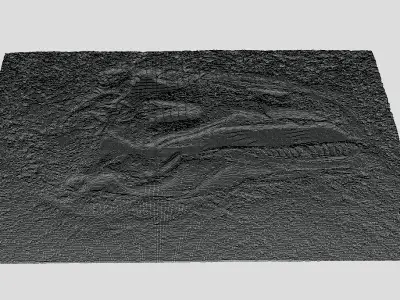 Tyrannosaurus Rex-fossil-dinosaur Low-poly 3D model