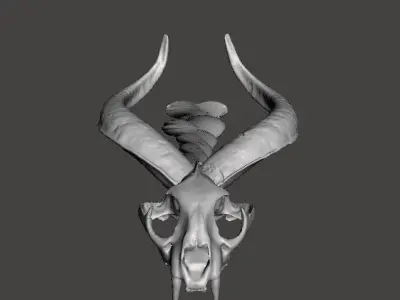 Dragon Back Scratcher Free 3D print model