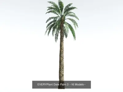 EVERYPlant Date Palm Bundle --64 Models-- 3D Model Collection