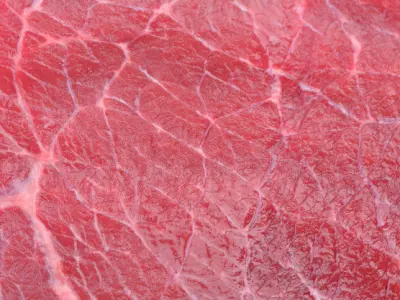 Dry Aged Beef Cabinet Low-poly 3D model