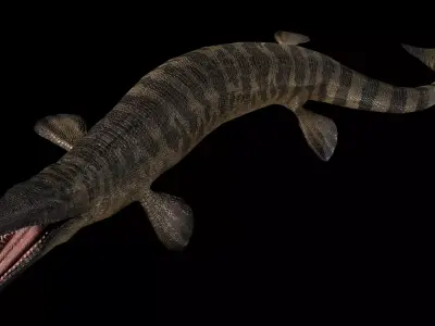 Tylosaurus Asset Pack 3D model