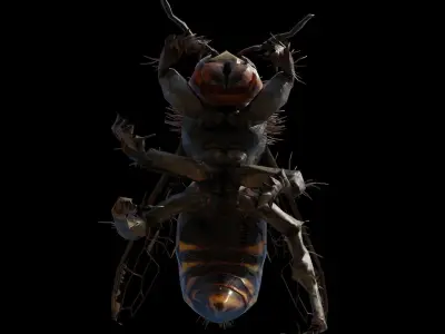 3d animated bee Low-poly 3D model