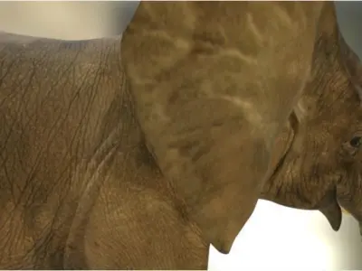 Elephant in environment Free low-poly 3D model