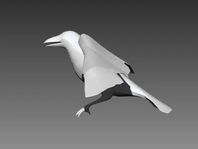 Crow base mesh for Zbrush 3D model
