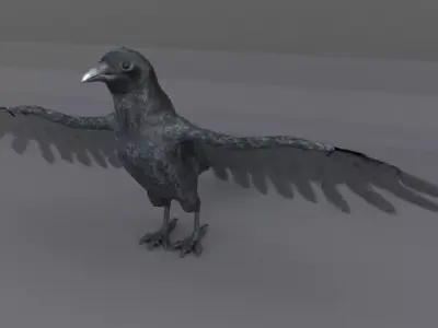 Crow bird Low-poly 3D model