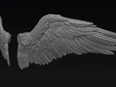 Wings Zbrush Sculpt 3D model