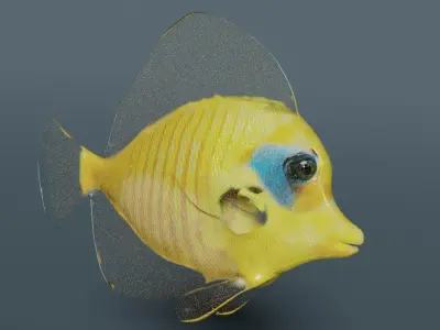 butterfly fish animated Low-poly 3D model