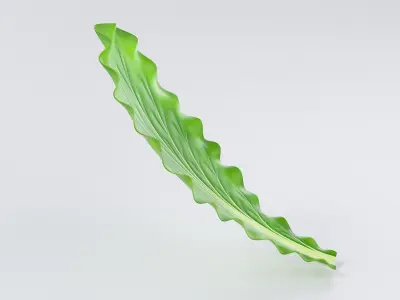 Cartoon Lettuce 3D model