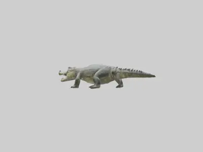 Philippine crocodile Low-poly 3D model
