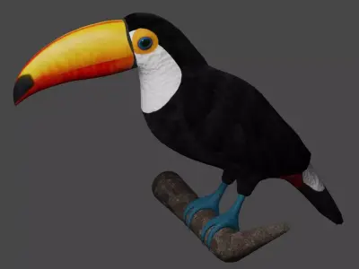 Toucan Ramphastos Toco Low-poly 3D model