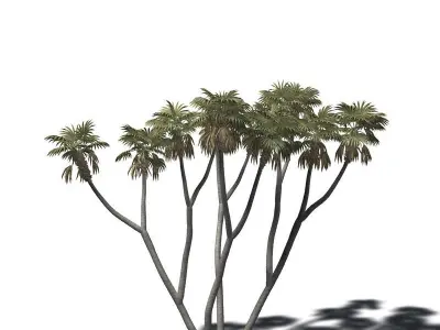 2020 XfrogPlants Africa Library  3D model