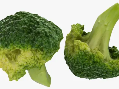 Broccoli Florets 02 3D model