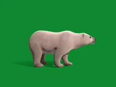 Polar Bear Free low-poly 3D model