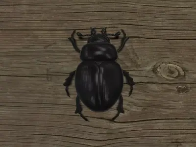 BUGS-001 Scarab Low-poly 3D model