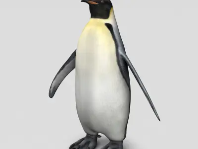 Penguin - Emperor 3D model