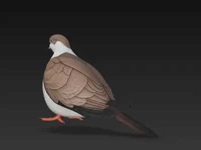 Dove Realistic 3D Model Basic - Low Poly Realistic  Low-poly 3D model