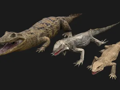 Reptile Crocodile Varan Iguana Low-poly 3D model