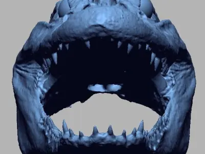 Alligator Head 3D print model