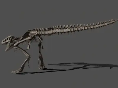 Tyrannosaurus Skeleton 3D model