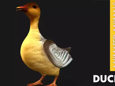 Duck A8 Free low-poly 3D model