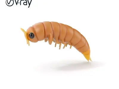 Realistic Larva Model Pack Low-poly 3D model
