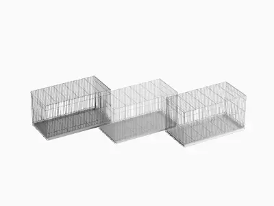 Large Birdcage Set 3D model