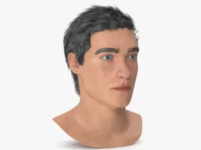 Male Head 3D model purchase