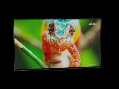 Sony TV Free low-poly 3D model