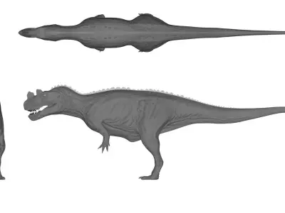 Ceratosaurus dentisulcatus Low-poly 3D model