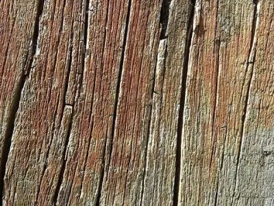 Spear Weapon Free low-poly 3D model