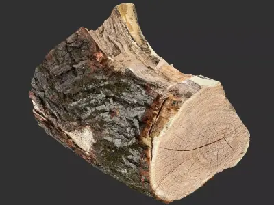 A peeling piece of wood 3d scan in highpoly 3D model