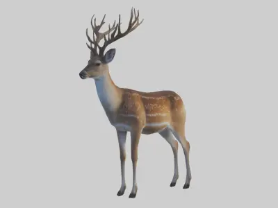 Fallow deer Low-poly 3D model