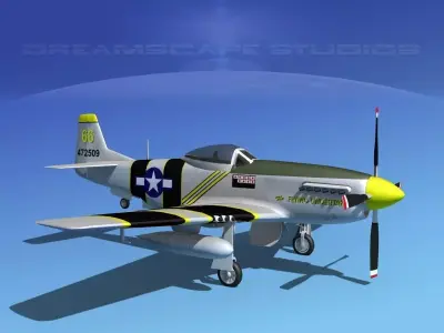 P-51D Mustang The Flying Undertaker 3D model