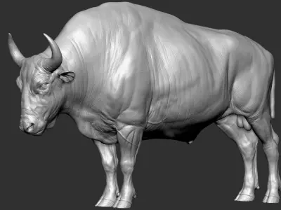 Bizon Bison bison most VFX Zbrush Sculpture Digitale 3D model